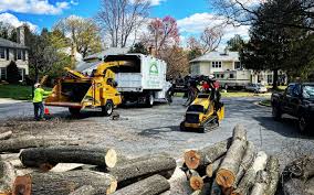 Best Arborist Consultation Services  in Marion, OH